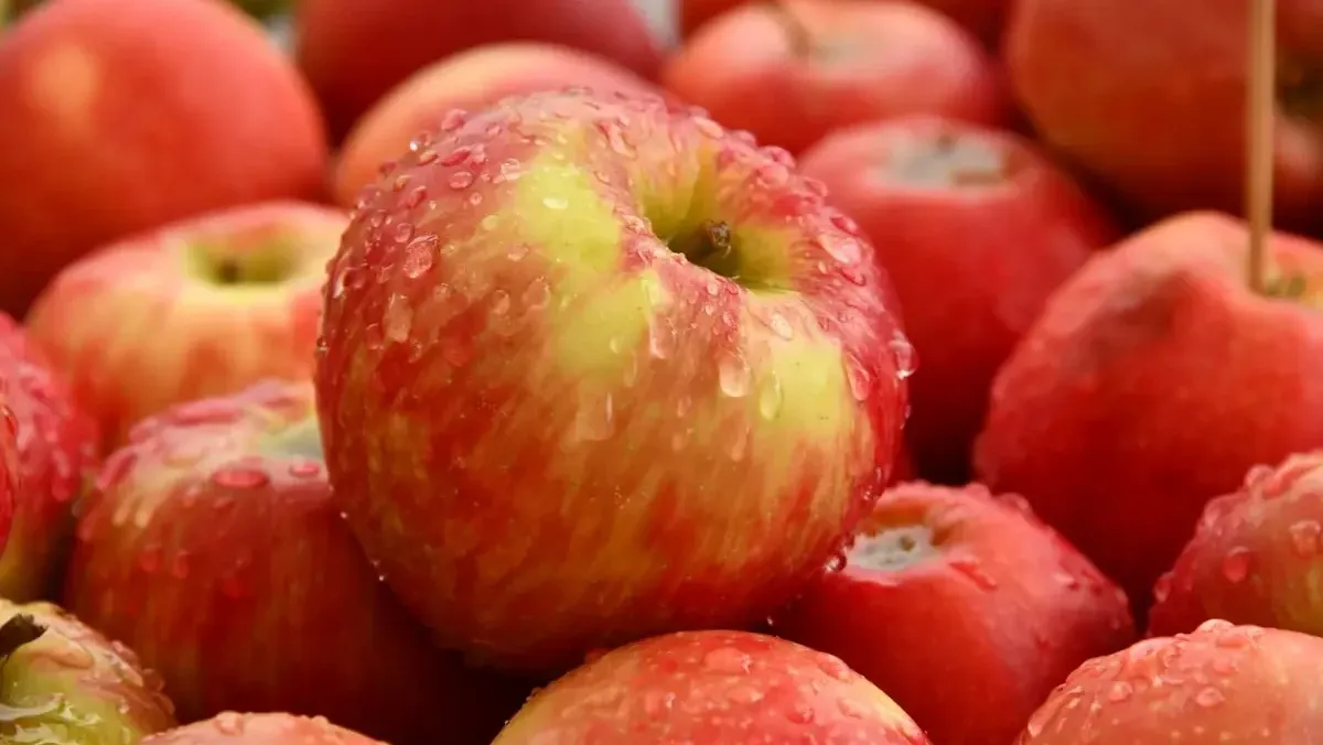 Vers geplukte appels