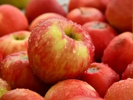 Vers geplukte appels