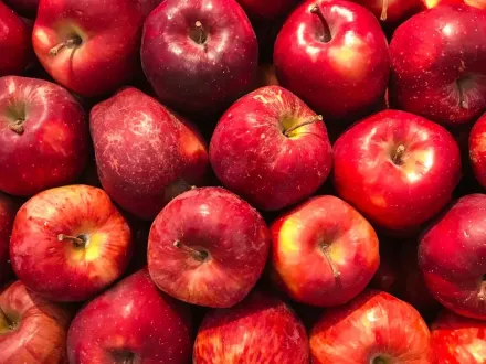 Rode appels
