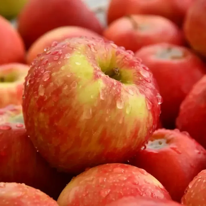Vers geplukte appels