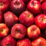 Rode appels